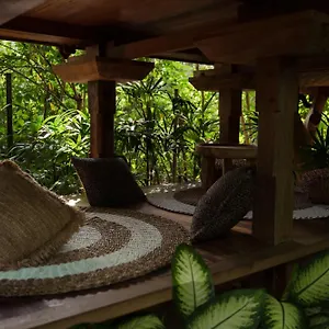  Lodge Roots Tree House Indonésie