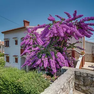 Bugenvilia Apartment Mali Lošinj